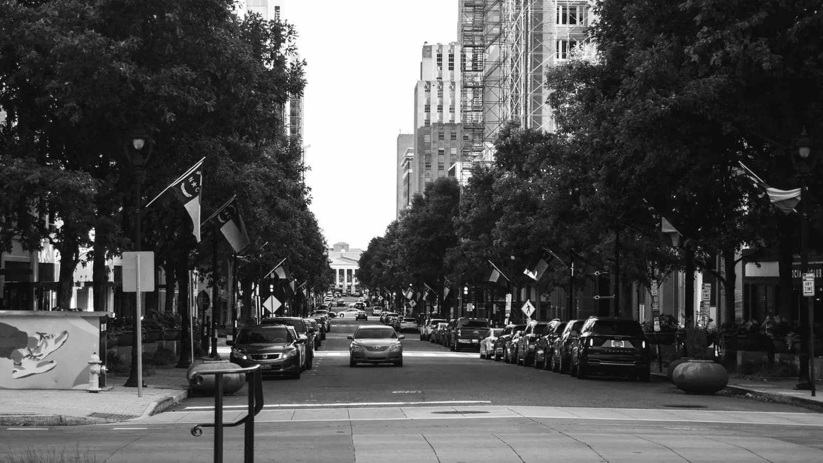Elective ultrasound near Raleigh NC: Black and white view down a tree-lined downtown Raleigh street with North Carolina flags