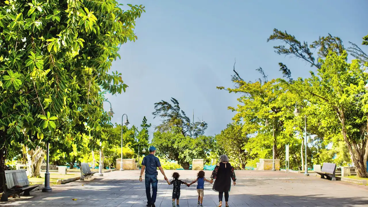 Ultrasound near Cary and Apex NC: Family holding hands walking along a sunny tree lined park path